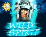 Wild Spirit